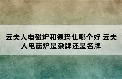 云夫人电磁炉和德玛仕哪个好 云夫人电磁炉是杂牌还是名牌